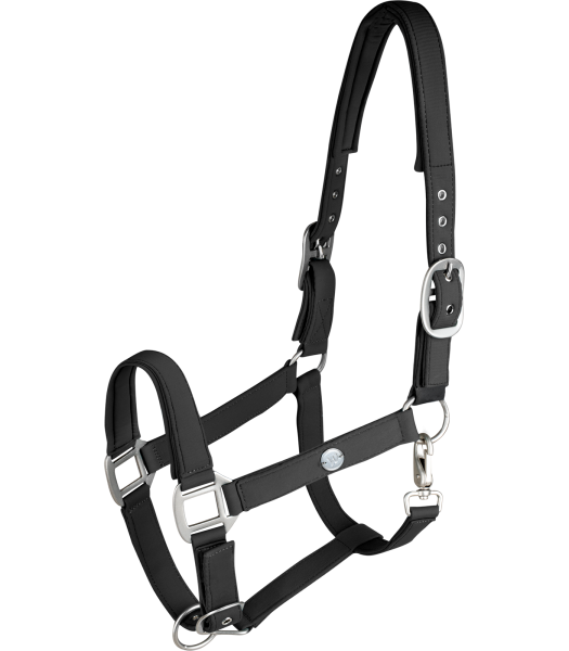 Halfter Trinidad, schwarz, VB