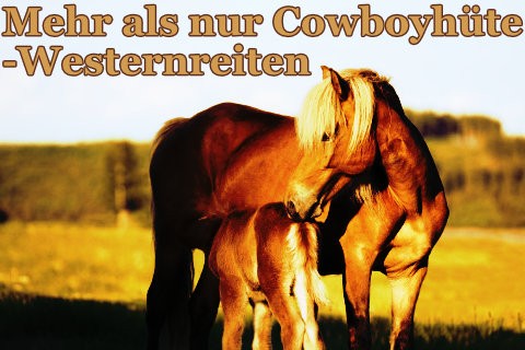 Cowboyhut-statt-Reithelm-oder-was-macht-Westernreiten-aus