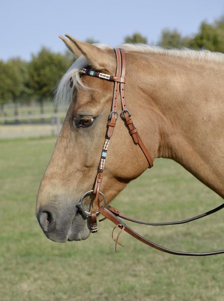 Kopfstück Dakota P chestnut