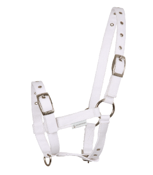 Fohlenhalfter TRIPLE weiß