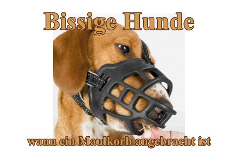 Bissige-Hunde-wann-ein-Maulkorb-angebracht-ist