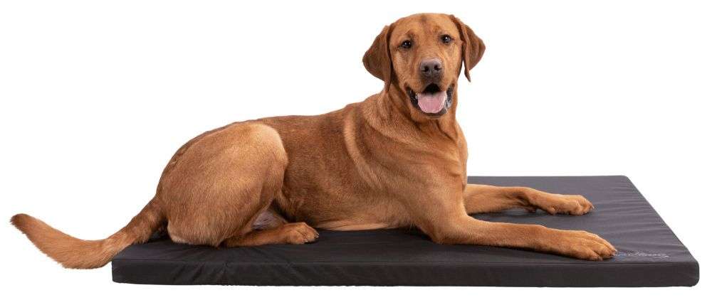 Trixie Liegematte Samoa Sky Kunstleder 80×60cm sw Hundebetten