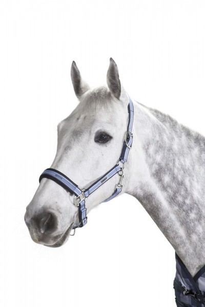 ESKADRON Halfter PIN BUCKLE skyblue-white-navy VB