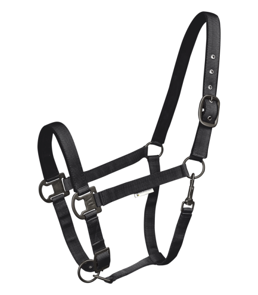 Halfter Gloomy schwarz WB