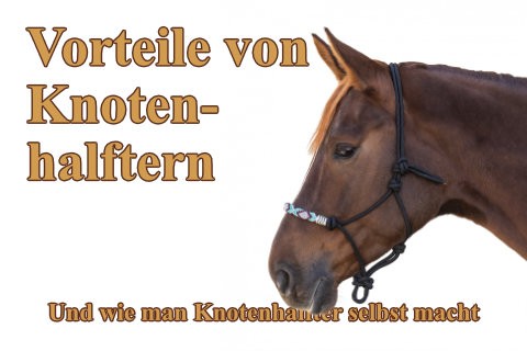 vorteile-von-knotenhalftern