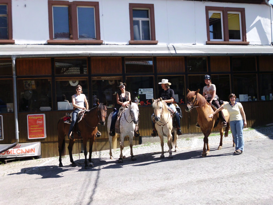 Reitsport Zubehör einkaufen