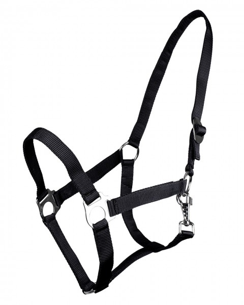 Halfter mit Schiebeschnalle Schwarz Mini Shetty