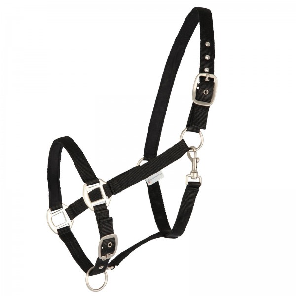 Halfter Satin schwarz VB