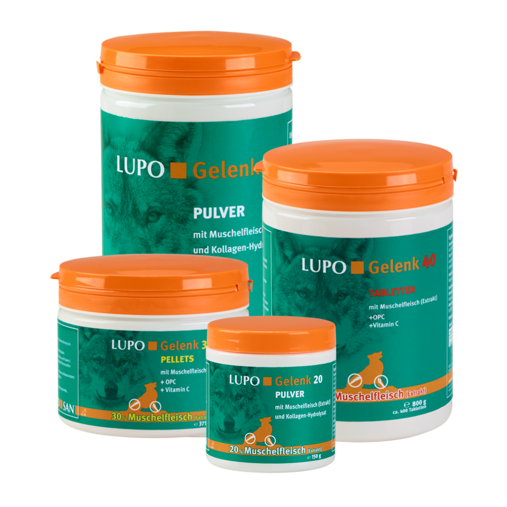 Luposan Gelenk 40 Tabletten 400 stk | Hund Vitamine, Mineralien & Co. |  individuelle Ergnzung | Hundefutter | Hund | Pfeuffer-Mhle | Reit- und  Hundesportartikel, Tiernahrung