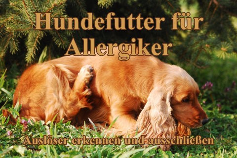 Hundefutter-fuer-allergiker