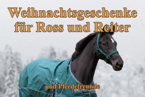 weihnachtsgeschenke-fuer-reiter-und-pferd