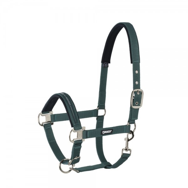 ESKADRON Halfter PIN BUCKLE RACINGGREEN WB