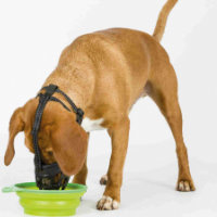 Hundemaulkorb aus Silikon der nicht behindert im Onlineshop