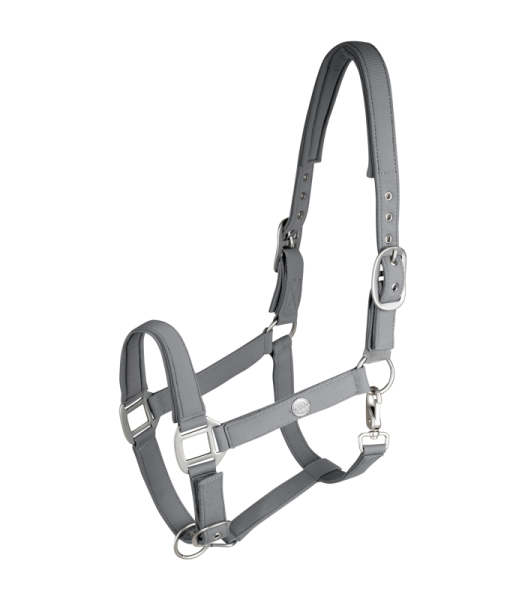 Halfter Trinidad, chromgrau, WB