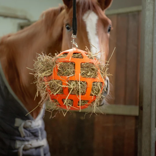 Hay Slowfeeder fun and flex 22 cm Orange Ball