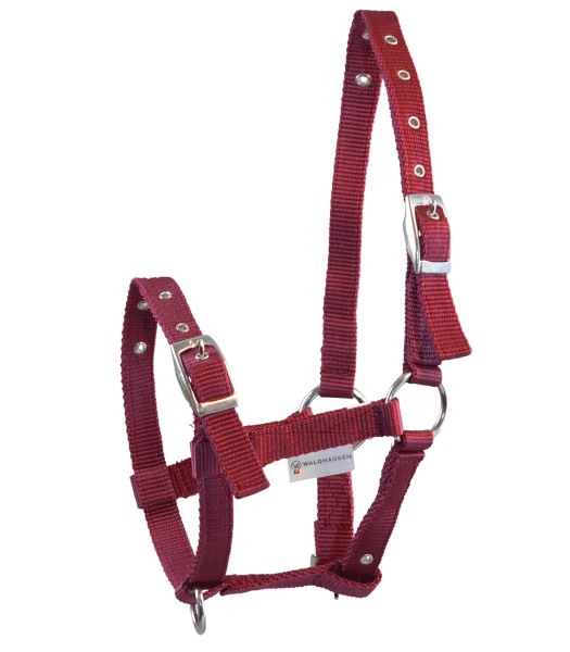 Fohlenhalfter TRIPLE bordeaux
