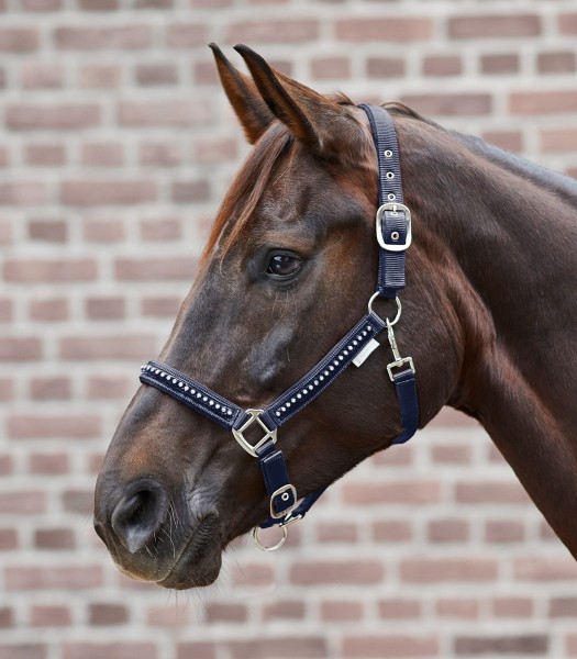 HALFTER CRYSTAL, nachtblau Pony