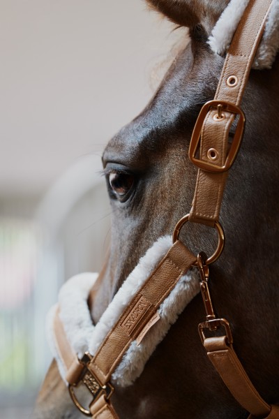 ESKADRON Halfter DOUBLEPIN METALLIC FAUX cognac VB