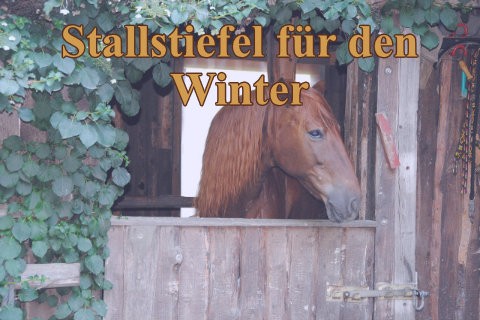 mit-richtigen-stallstiefel-winter-ueberstehen