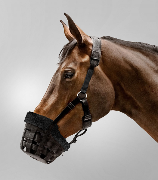 Maulkorb Comfort schwarz, Pony