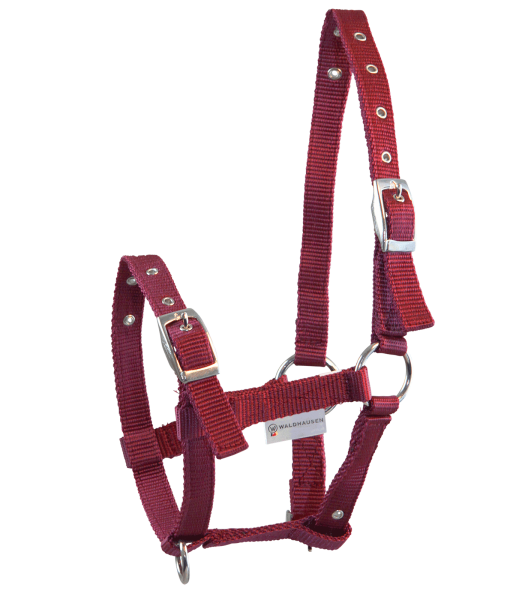 Fohlenhalfter TRIPLE bordeaux
