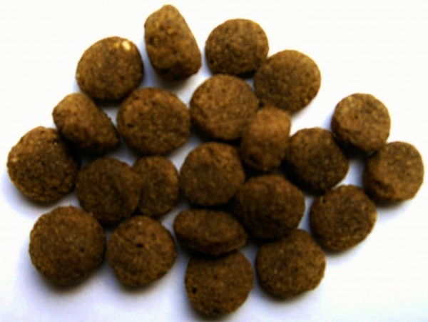 Doppelpack Hundefutter Sensitive Ente 2Kg