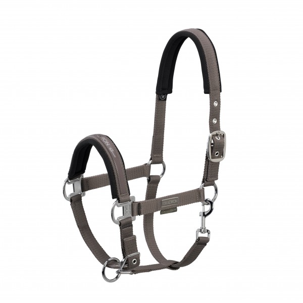 Halfter PIN BUCKLE fossil WB