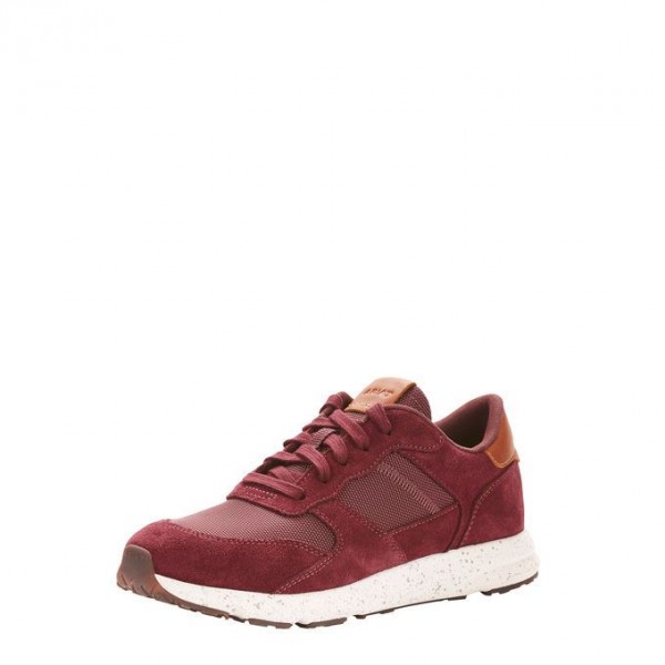 ARIAT Fuse Plus EnglishFusion Maroon Gr 4,5/37,5/7