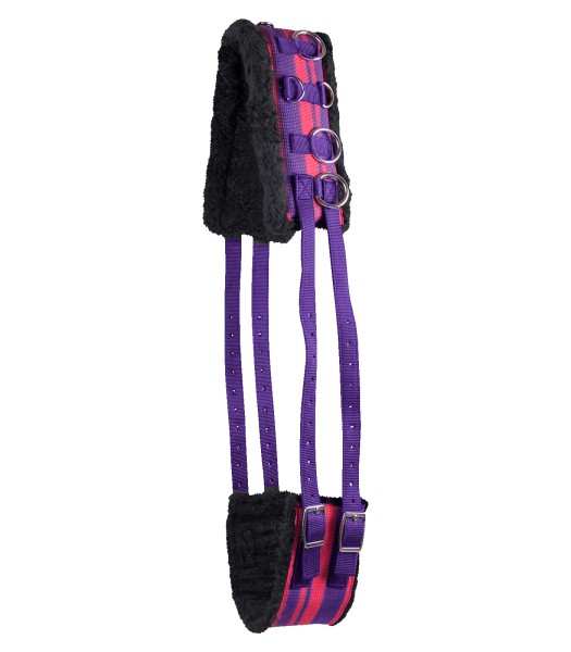 Longiergurt TEDDYFLEECE lila/azalee PON