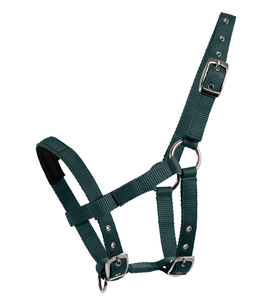 Mini-Shetty Halfter, tannengrün