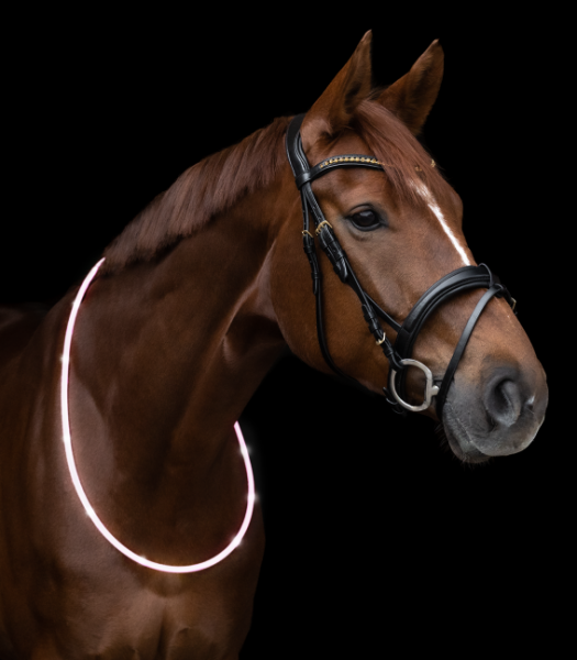 USG LED-Leuchthalsring für Pferde Weiß