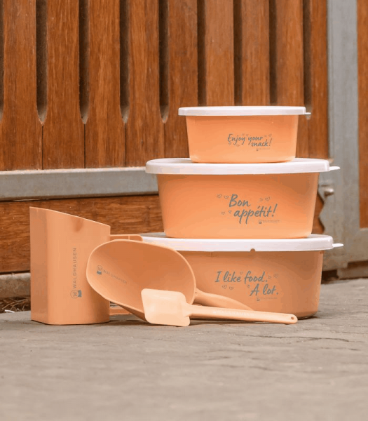 Leckerlie-Schale Pfirsich mit Deckel 2 L