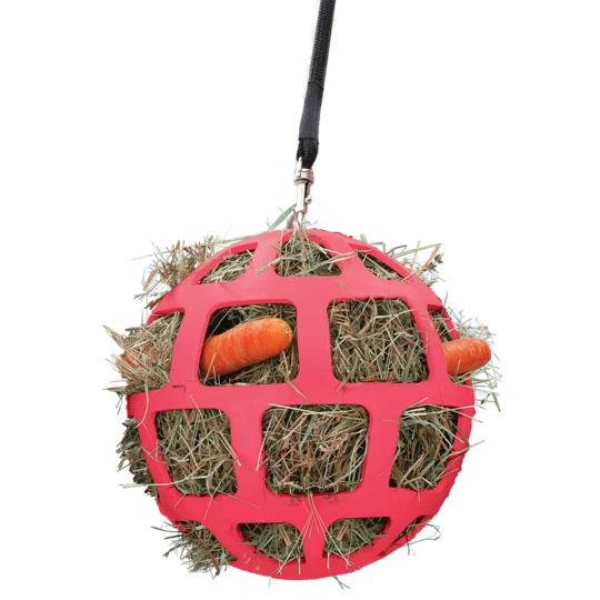 Hay Slowfeeder fun and flex 22 cm Rosa Ball