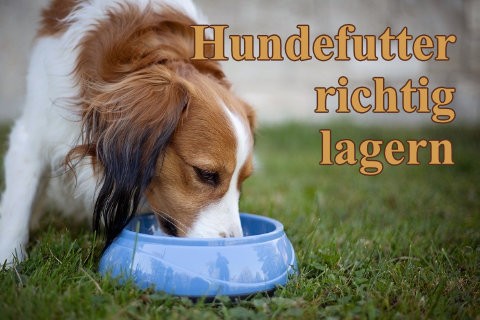 die-richtige-hundefutter-aufbewahrung