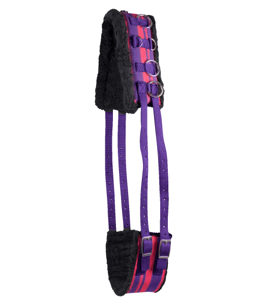 Longiergurt TEDDYFLEECE lila/azalee PON