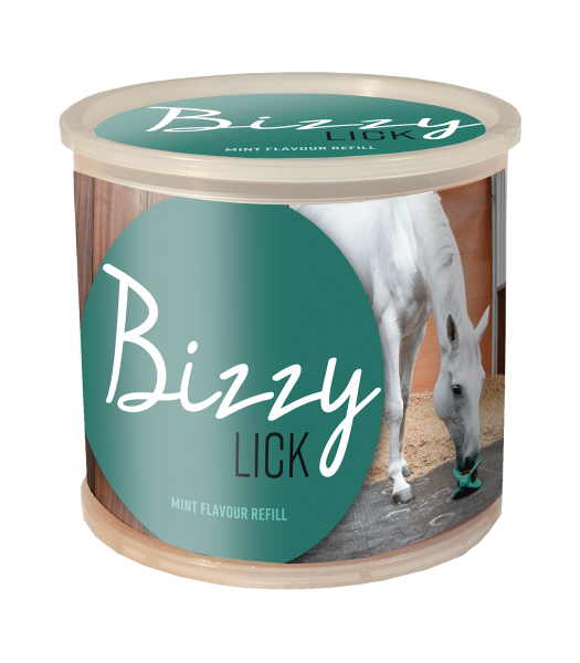 BIZZY HORSE LECKSTEIN, MINZE, 1 KG