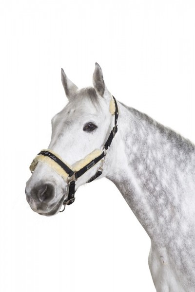 Halfter GLOSSY FAUX FUR BLACK WE