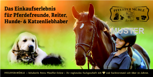 GUTSCHEIN 50 € SQDYBBCA