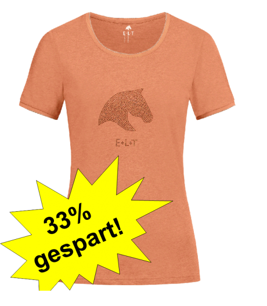T-SHIRT DENVER apricot mélange M