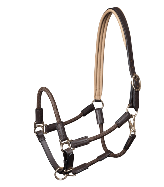 Halfter Nevada, braun/gold, Pony