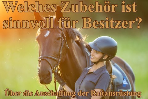 Welches-Pferdezubehor-ist-sinnvoll-fur-Besitzer