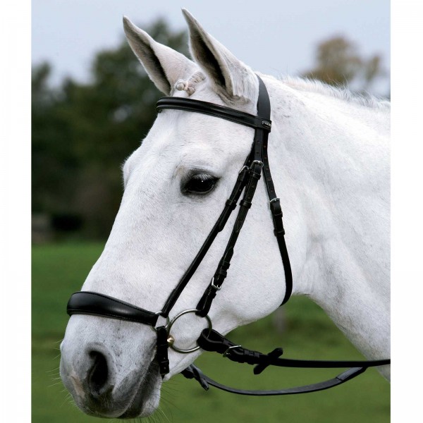 Star Trense Hannover schwarz pony