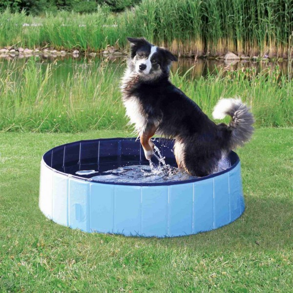 Trixie Hundepool 120 x 30 cm, hellblau/blau